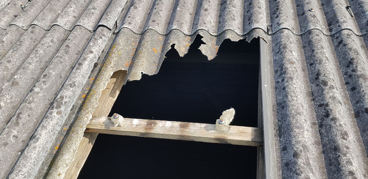 20170822_095412 (1).jpg